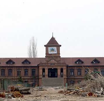 Anger over axing of poplar trees at Srinagar historic college