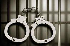 Two Militant Associates Arrested Along With Arms And Ammunition in Shopian
