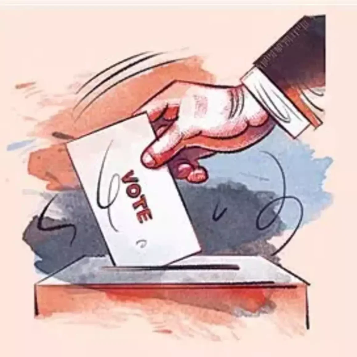 vote All 86 MLAs cast votes in RS polls