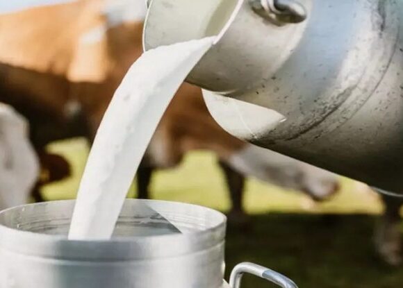 Govt raises outlay by Rs 2000 cr to boost milk production