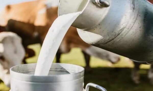MIL-696x415 Govt raises outlay by Rs 2000 cr to boost milk production