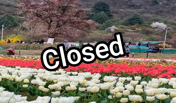 IMG_20250421_162404 Tulip Garden to be closed for public from April-24