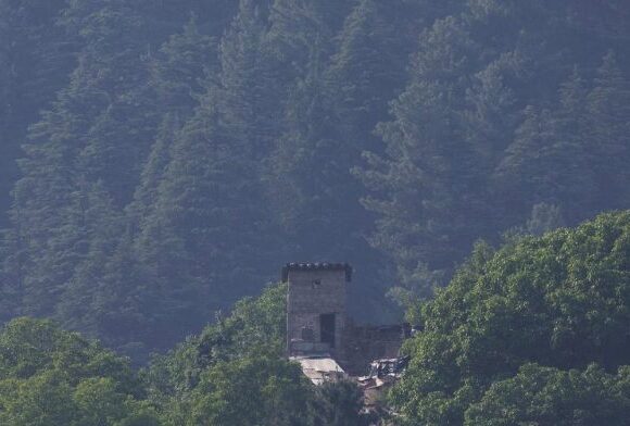 LOC-696x392 Pakistani Troops Violate Ceasefire Along LoC In J&K For 10th Day