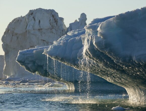 Glaciers worldwide lose 32.5 MWE thickness in 74 years