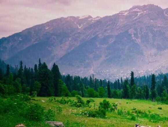 J&K adds 398 Sq Km Forest cover in Decade, tops 21,346 Sq Km in 2023: Centre