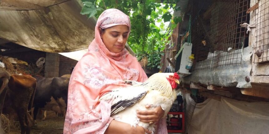 JKAS Aspirant Abandons Bureaucratic Dream to Embrace Farming Passion in Shopian’s Chitragam Village