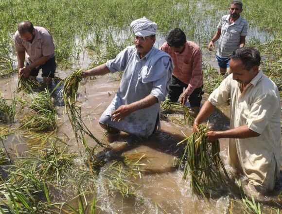 1200-675-24970767-thumbnail-16x9-jmu-aspera Floods Take A Toll On Jammu Kashmir's Agriculture; 140 Lakh Hectares Land Hit In Jammu Region Alone