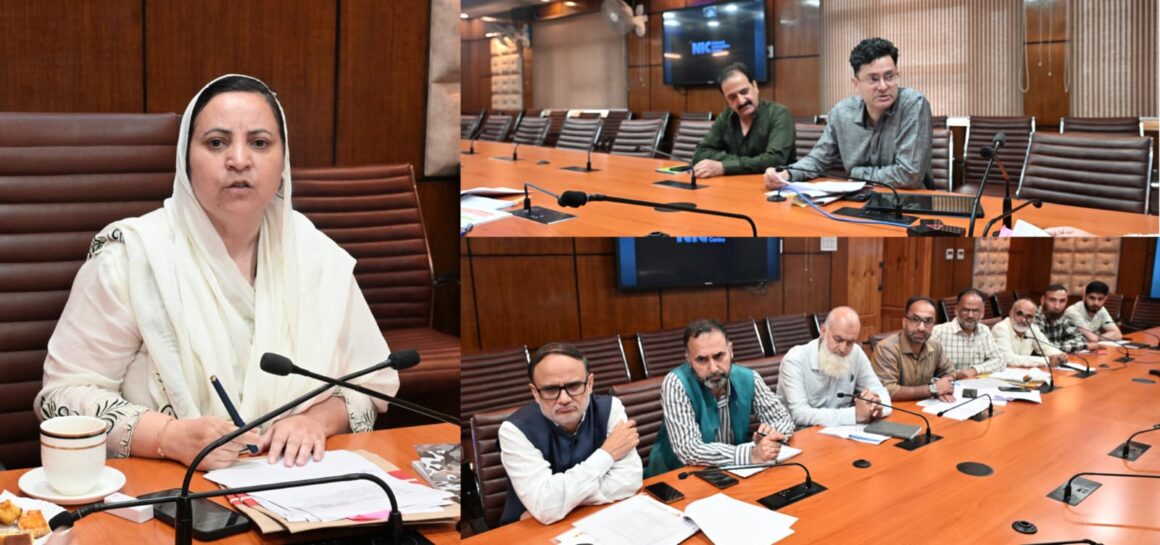 Sakeena Itoo reviews power sector scenario in Kulgam district
