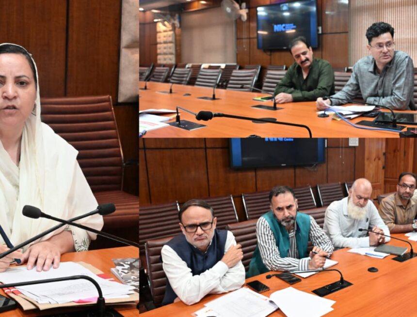 Sakeena Itoo reviews power sector scenario in Kulgam district