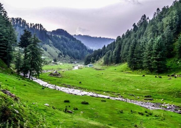 Bridges Washed Away By Floods, Tribals Brave Perilous Journeys For Livelihood In J&K’s Doda