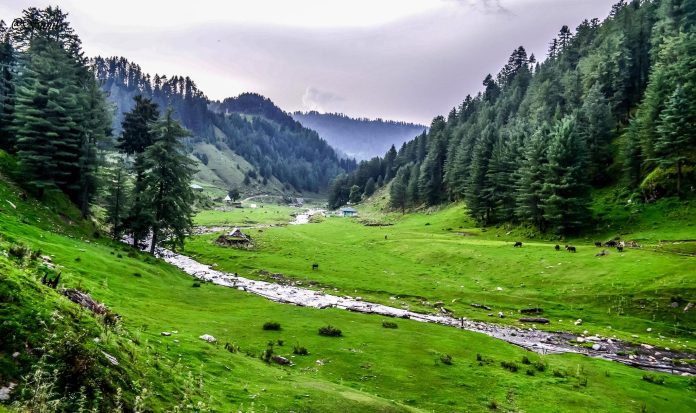 Bridges Washed Away By Floods, Tribals Brave Perilous Journeys For Livelihood In J&K’s Doda