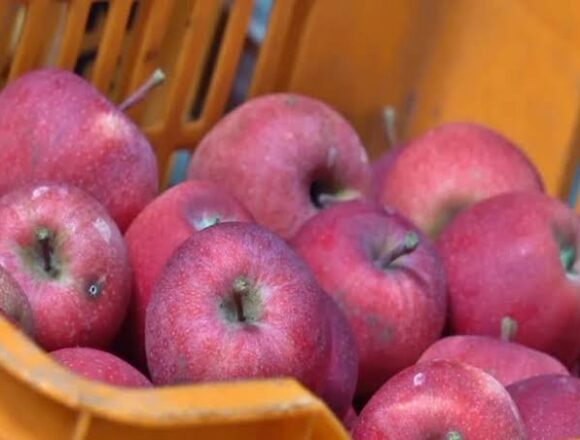 images (2) 2 apple-laden parcel van coaches to run towards Delhi, Jammu from today