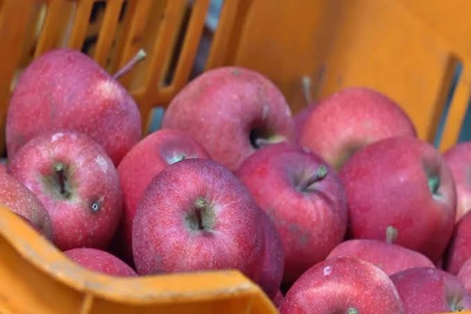 2 apple-laden parcel van coaches to run towards Delhi, Jammu from today