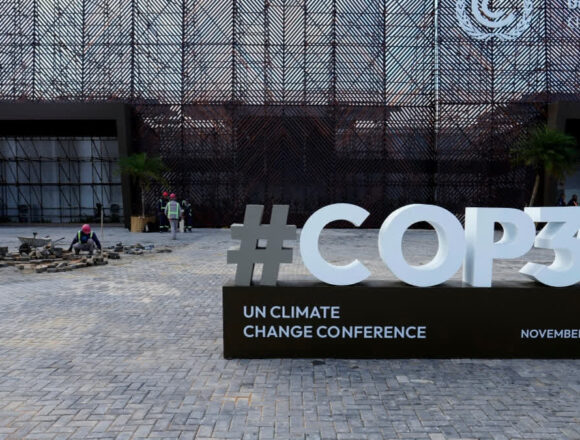 1200-675-25356494-935-25356494-1762568618270 India Joins Brazil-Led Forest Fund as Observer, Calls For Stronger Ambition 10 Yrs After Paris Pact