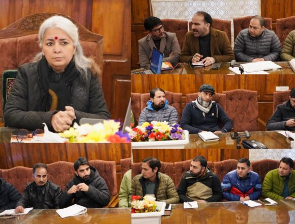 DC Bandipora reviews Land Subsidence Issue at Hajin, Calls for Permanent Restoration Plan