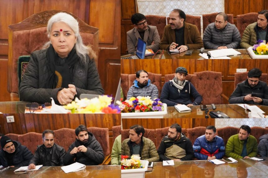 DC Bandipora reviews Land Subsidence Issue at Hajin, Calls for Permanent Restoration Plan