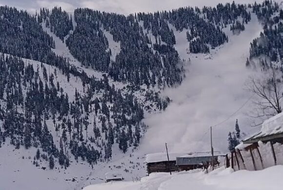 Avalanche Alert Sounded in Five J&K Districts After Fresh Snowfall