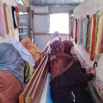 Handicraft Dept launches skill training under SAMARTH to revive carpet weaving in Kashmir