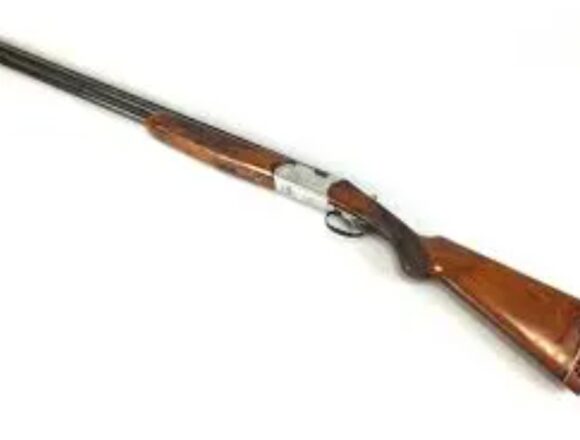 Accidental rifle misfire injures woman at Baramulla bank branch