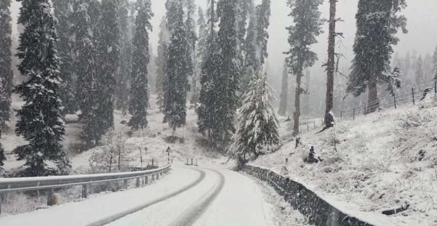 Snowfall hits Kashmir’s higher reaches, rain in plains