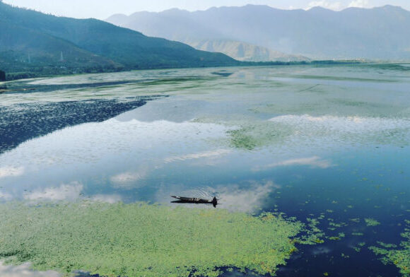 Wular-Lakes-696x392 Wular Lake Conservation Restores 5 Sq Km Area, 1.31 Lakh Trees Removed In J&K